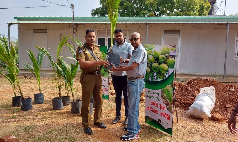 Coconut Seedling Distribution Project in launched at the Headquarters Police Station Trincomalee premises e by Good Hands Initiative with the objective of encouraging Sri Lankans to cultivate coconut.
