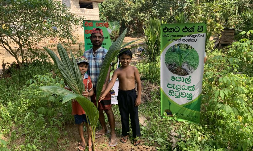 Coconut Seedling Distribution Project in Nugegoda, Kotte, Madiwala, Kadawatha,Pothuwatuna and Dankotuwa by Good Hands Initiative with the objective of encouraging Sri Lankans to cultivate coconut.