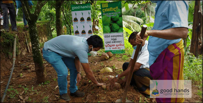 Seed Coconut Nursing and Knowledge Distribution Project for the residents of the Kuruwita, at the Kuruwita Police Headquarters by Good Hands Initiative with the objective of encouraging Sri Lankans to cultivate coconut.