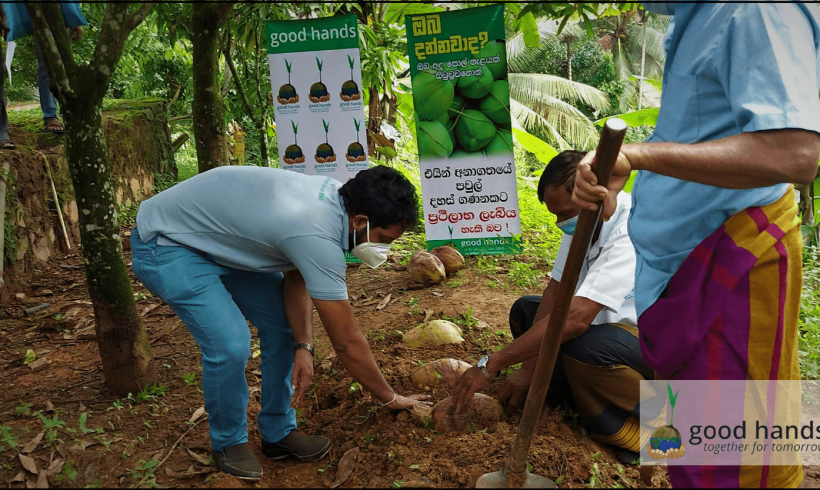 Seed Coconut Nursing and Knowledge Distribution Project for the residents of the Kuruwita, at the Kuruwita Police Headquarters by Good Hands Initiative with the objective of encouraging Sri Lankans to cultivate coconut.