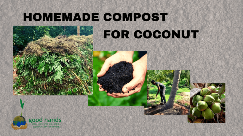 Homemade compost for coconut