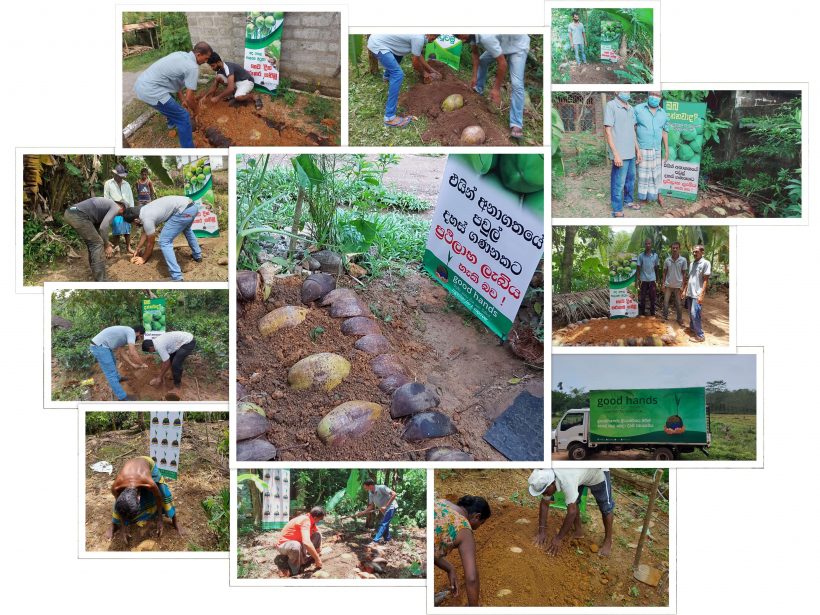 A series of projects carried out by Good Hands Initiative in the Kalutara District with the objective of creating interest and confidence among Sri Lankans in making coconut seedlings from coconut seed nursery at home.
