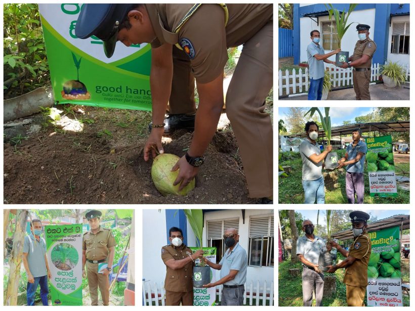 Coconut Seedling Nursery, Coconut Seedling Distribution and Awareness Project launched by Good Hands Initiative at Hirana, Panadura and Bandaragama Police Station premises with the objective of encouraging Sri Lankans to cultivate coconut plants.
