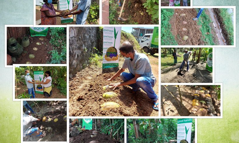 A series of projects carried out in Kalutara, Wadduwa and Bombuwala in the Kalutara District with the objective of creating interest and confidence among Sri Lankans in making coconut seedlings from coconut seed nursery at home.