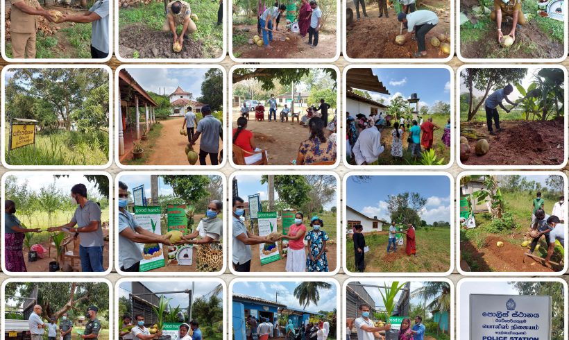 A series of programs carried out in Awaranthulawa and Pavatkulama in the Vavuniya District with the objective of “Let’s Nurse a coconut seed and make a coconut plant”