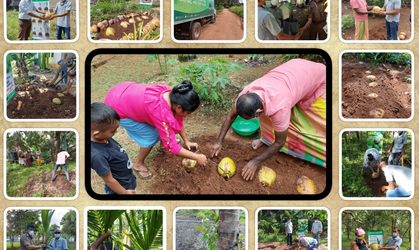 A series of programs carried out in Anuradhapura to expand the good hands concept of “Let’s make a coconut plant from a coconut seed nursery”