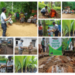 2022 World Coconut Day Celebration – Eheliyagoda