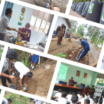“A coconut plant from a coconut seed” The series of programs conducted in the Gurudeniya Madhya Maha Vidyalaya for the uplifting of coconut cultivation throughout Sri Lanka