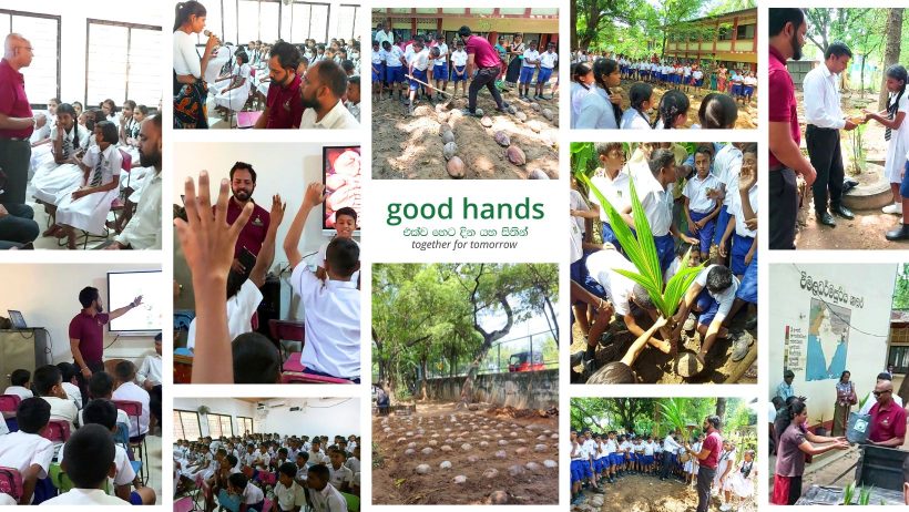 Fostering a Sustainable Tomorrow for Gamini Dissanayake Model School, Pallewaththa (Hasalaka)